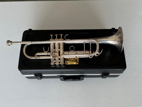 Hunter beginner trumpet with