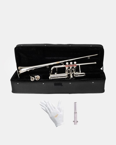 Flag trumpet pitch shinning - trumpet, bb