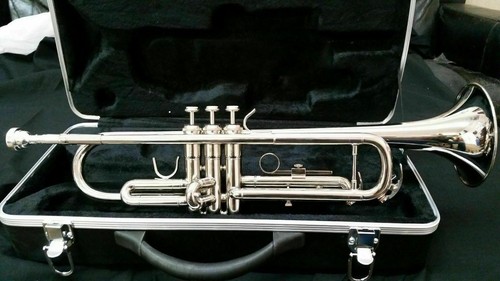 TRUMPET-BANKRUPTCY-