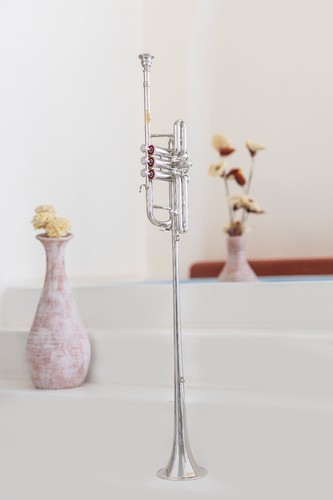 Flag trumpet pitch shinning - trumpet, bb